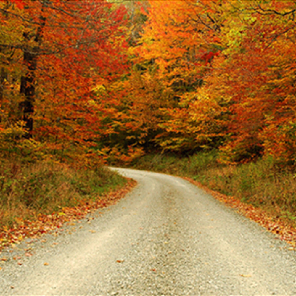 Meet your Posher, Steph